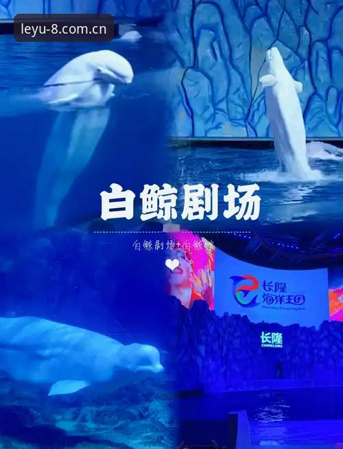 乐鱼体育平台更新日志避坑指南：从v3.2.0看那些年我们踩过的版本坑